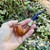 Savinelli Eleganza Smooth Natural Bent Billiard (601) 6mm Filter Tobacco Pipe