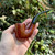 Ascorti Italia Smooth SEI Oom Paul Briar Tobacco Pipe New