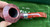 Peterson Irish Harp Sandblasted Bent Dublin (B10) Fishtail Pipe Sterling - NEW