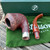 Peterson Irish Harp Sandblasted Bent Dublin (B10) Fishtail Pipe Sterling - NEW
