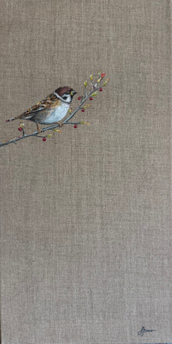 Tree Sparrow