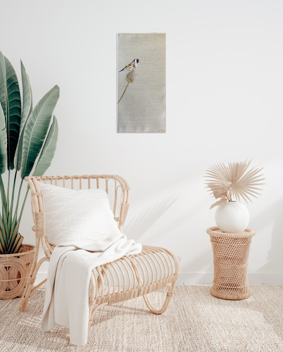 Goldfinch on Teasel  206327