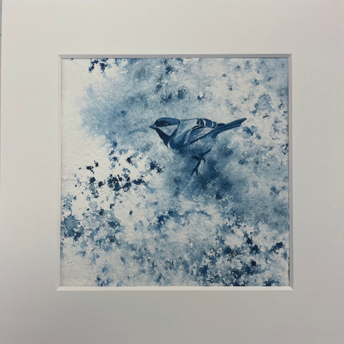 Great Tit painting in ink mounted
