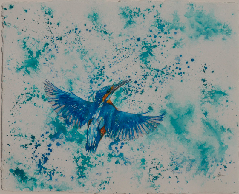 Kingfisher Splash