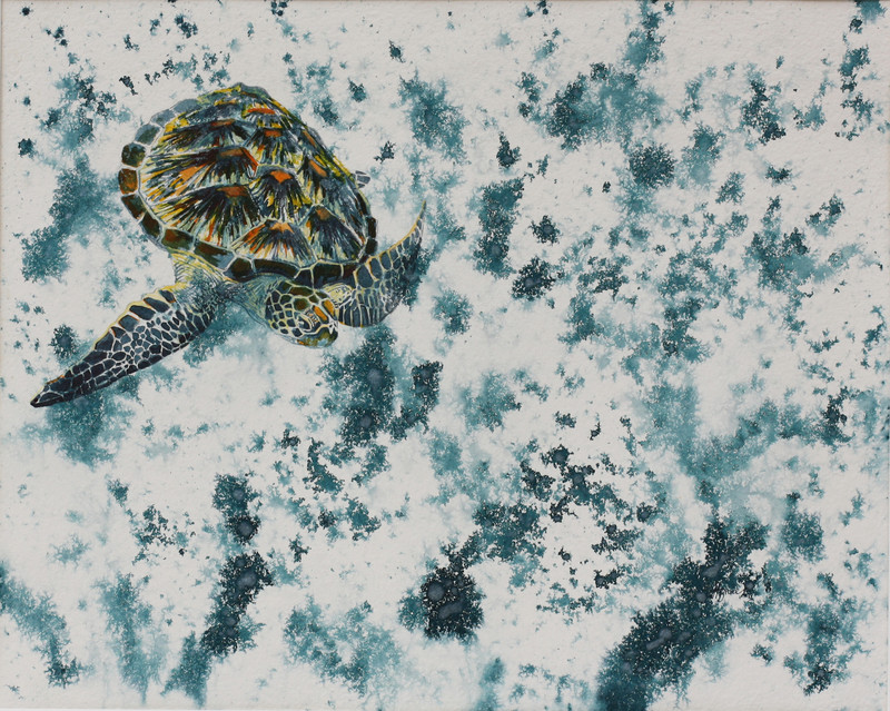 Sea Turtle in Aqua