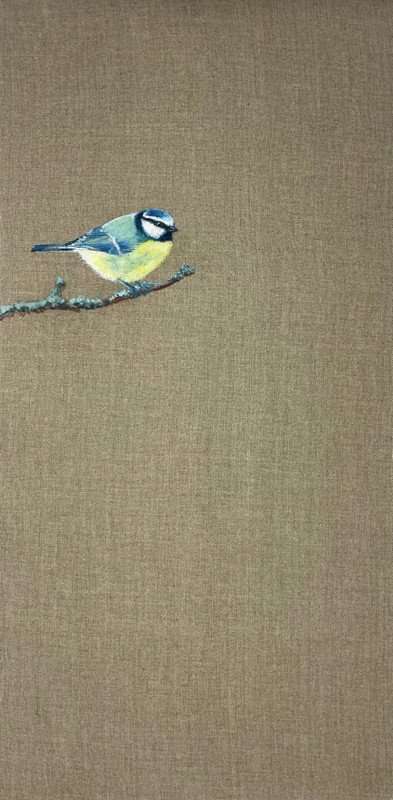 Blue Tit on Linen