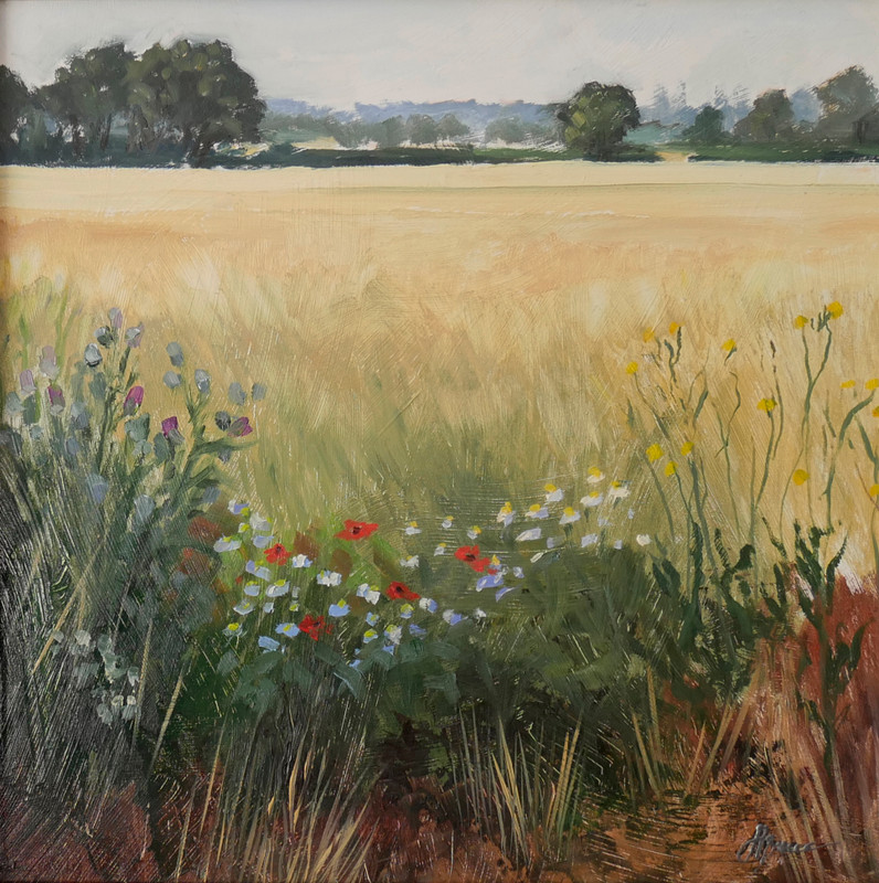 A Field in Norfolk