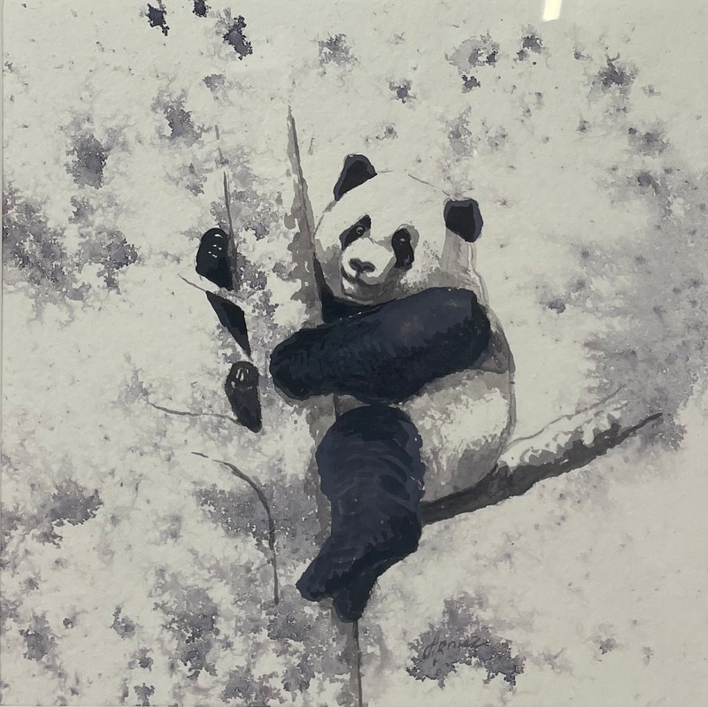 Panda Perch