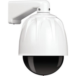 Simulated Outdoor Camera 8 Dome