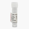 Follicle Stimulating Hormone, β-Subunit (β-hFSH) Monoclonal Antibody