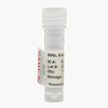 Chorionic Gonadotropin, β-Subunit (β-hCG) Monoclonal Antibody - DEAE