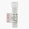 Albumin (Human) Monoclonal Antibody