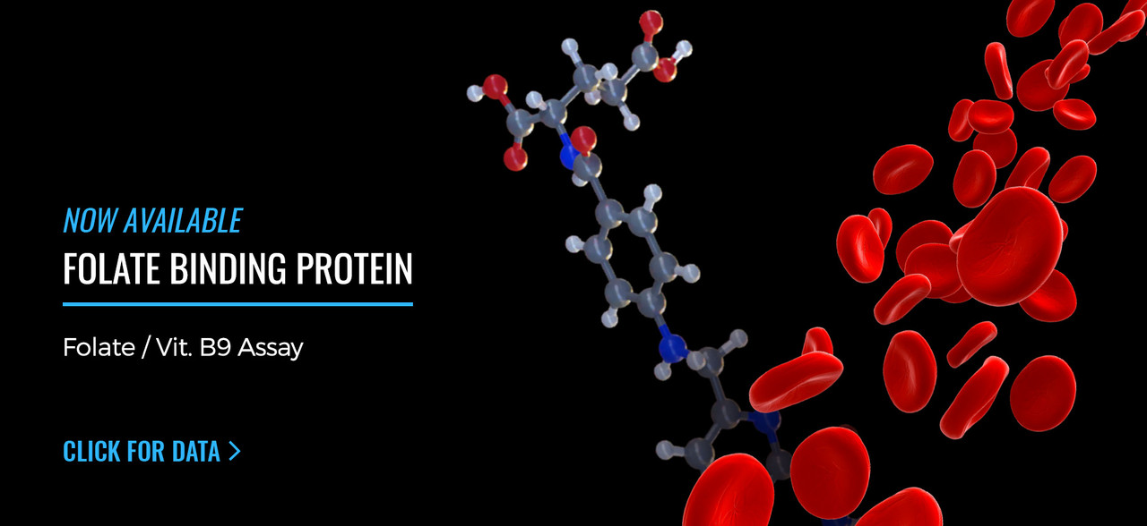 Folate Binding Protein