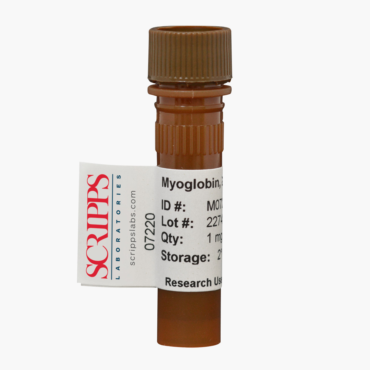 洋書 Myoglobin: Biochemical, Physiological Myoglobin, Human, Recombinant; ≥95% - scrippslabs.com