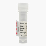 Chorionic Gonadotropin, β-Subunit (β-hCG) Monoclonal Antibody - Protein A