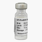 NT-ProBNP, Recombinant; ≥95% pure