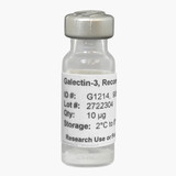 Galectin-3, Recombinant; ≥95%