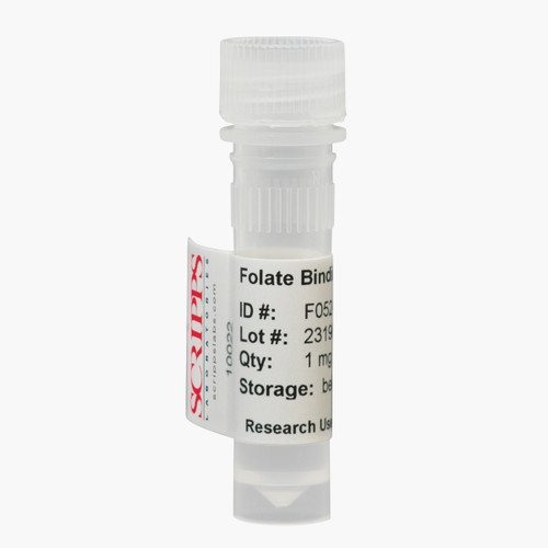 Folate Binding Protein, Bovine