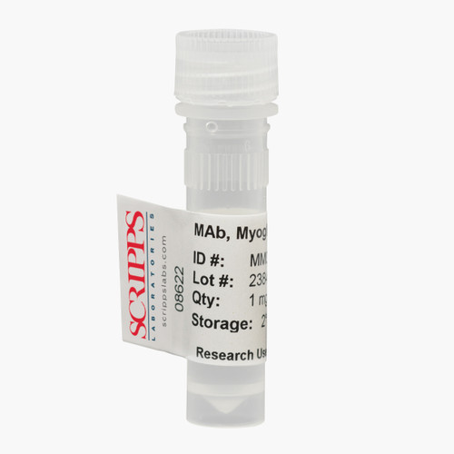 Myoglobin Monoclonal Antibody