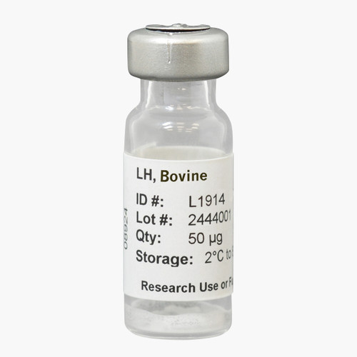 Luteinizing Hormone, Bovine (bLH); ≥2 x NIH Std
