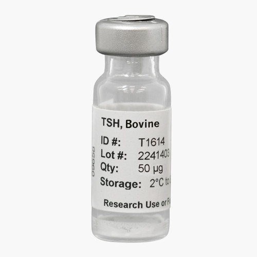 Thyroid Stimulating Hormone, Bovine (bTSH)