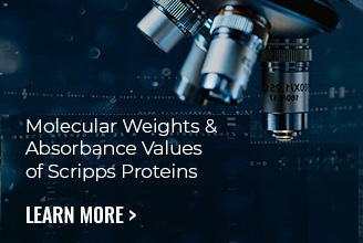 Molecular Weights & Absorbance Values of  Scripps Proteins