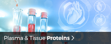 Plasma & Tissue Proteins