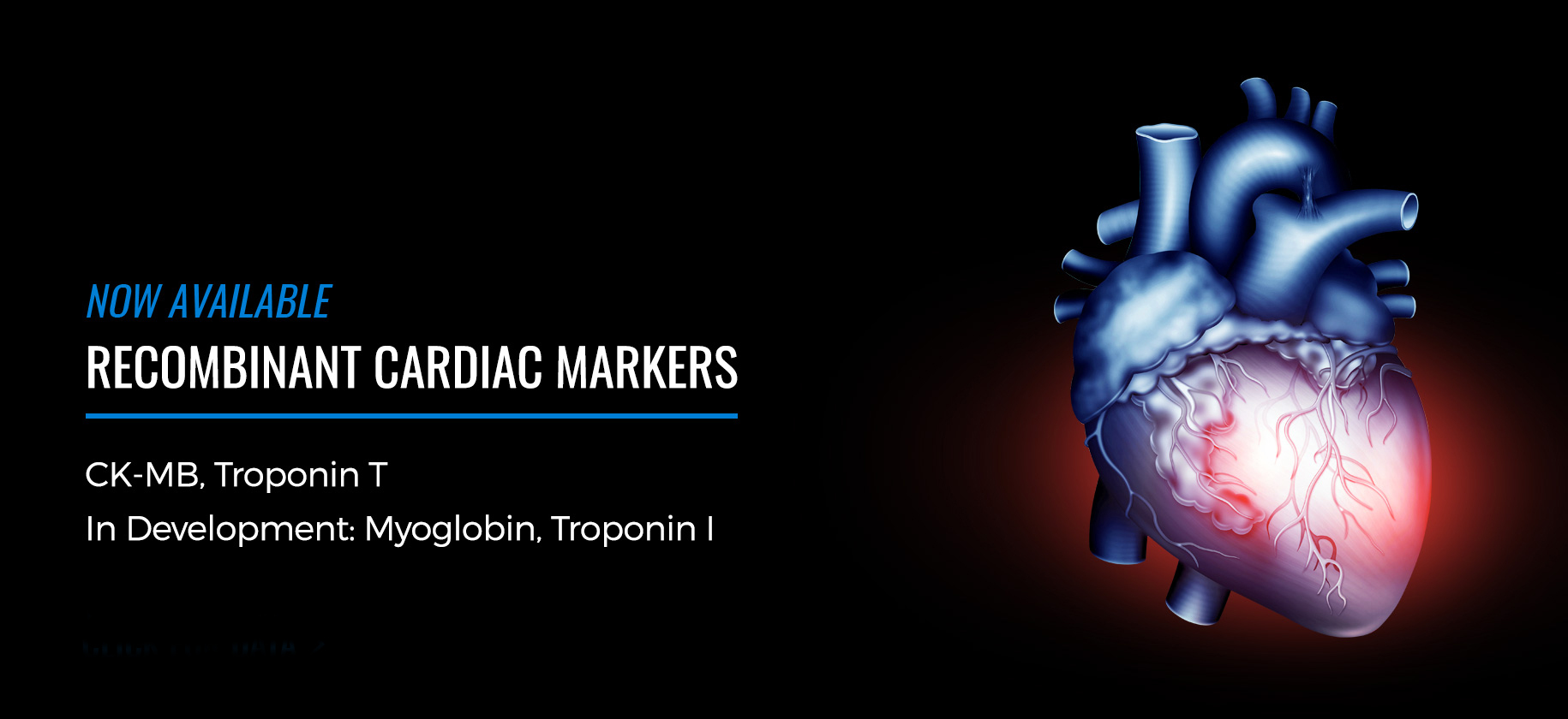 cardiac-markers-page-1830x840.jpg