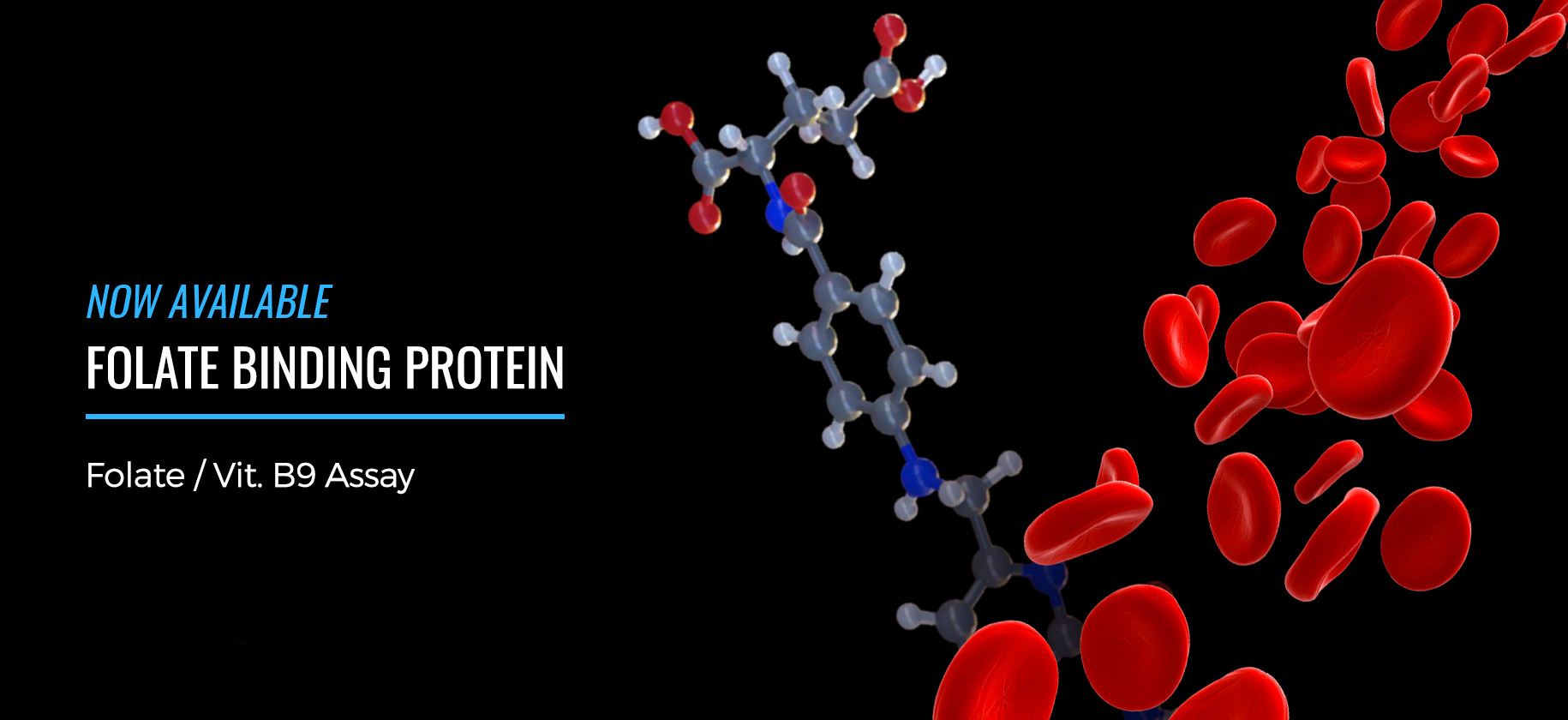 folate-binding-protein-page-1830x840.jpg