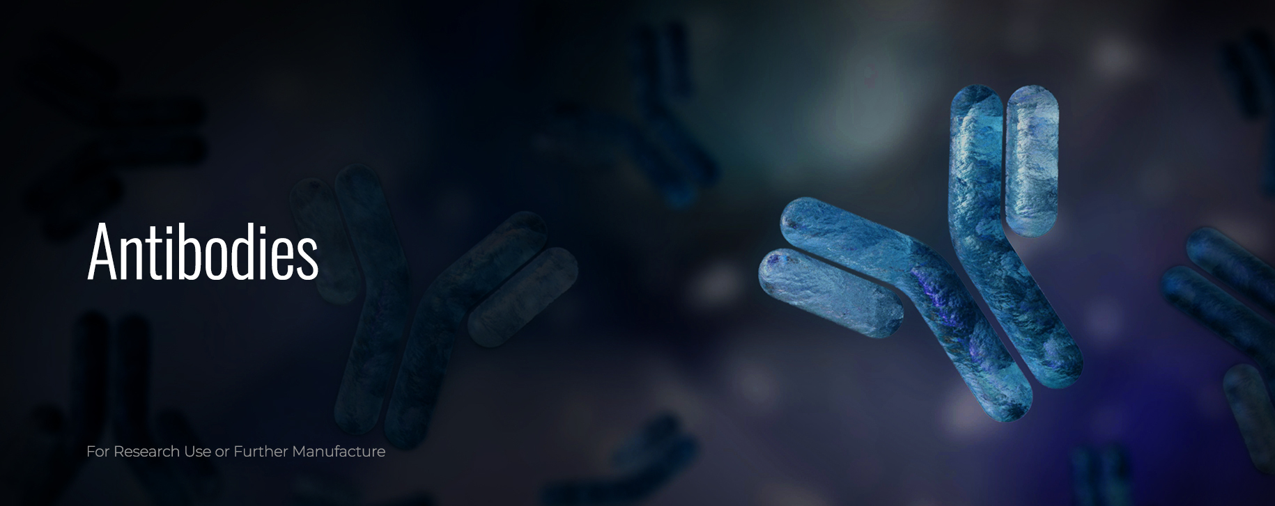 lp-2026-antibodies-v01.jpg lp-2026-antibodies-v01.jpg