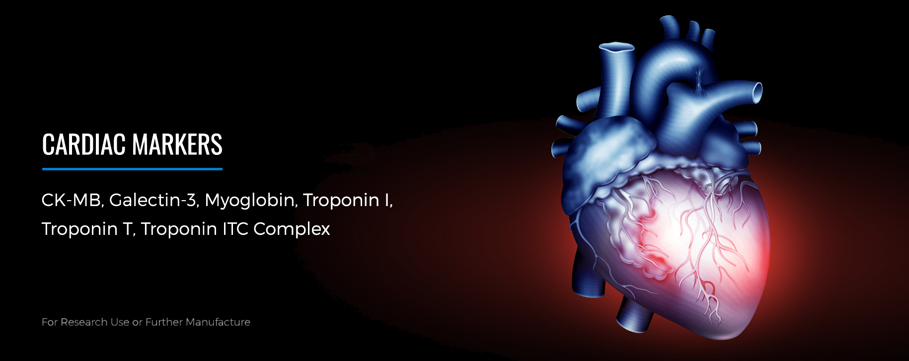 lp-2026-cardiac-v01a.jpg lp-2026-cardiac-v01a.jpg