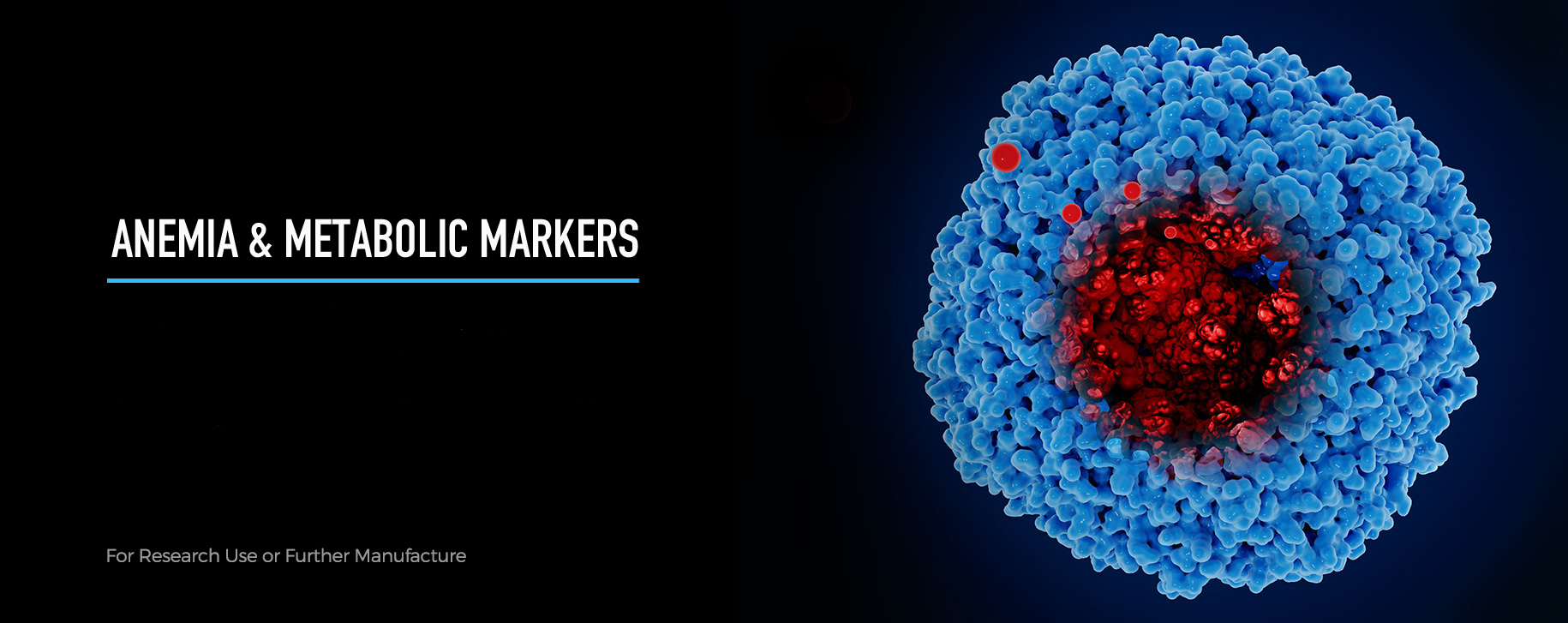 lp-2026-metabolic-markers-v01a.jpg