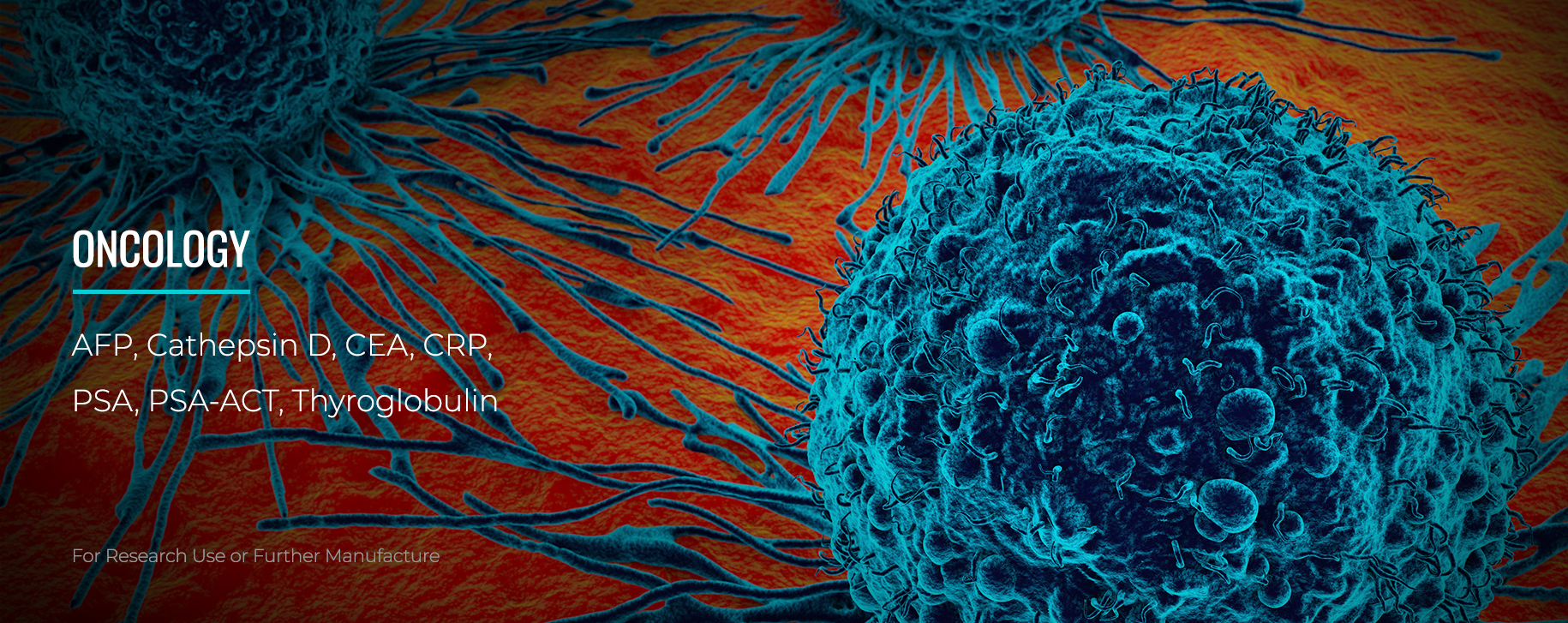 lp-2026-oncology-v01.jpg