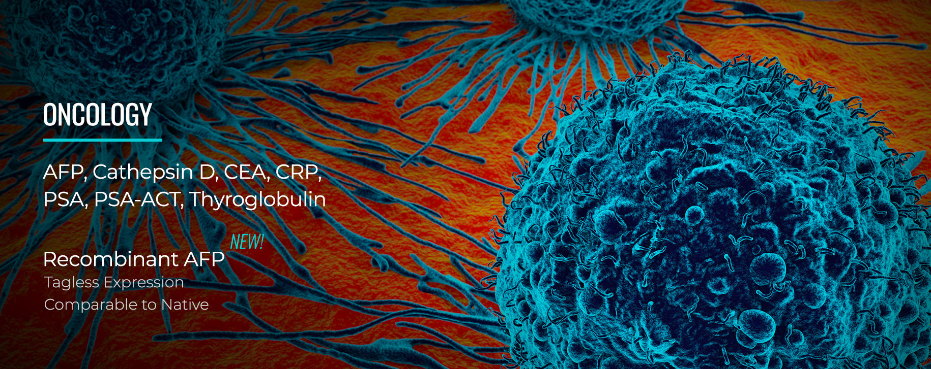 lp-2026-oncology-v02.jpg lp-2026-oncology-v02.jpg