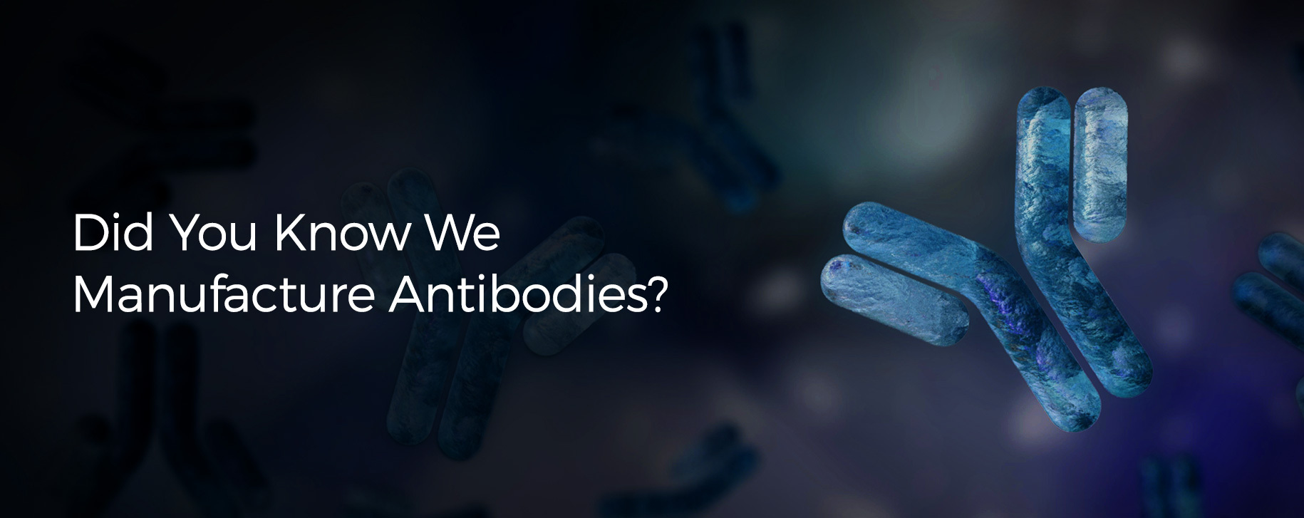 lp-antibodies-v01.jpg