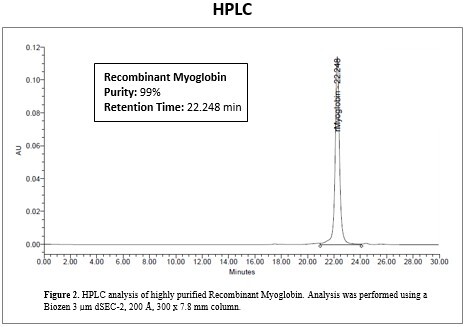 rec-myoglobin-hplc.jpg