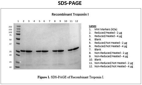 rec-tni-sdspage.jpg