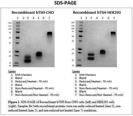 rec-tsh-sdspage-2.jpg