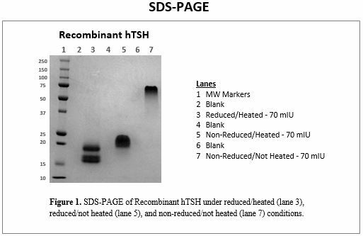 rec-tsh-sdspage.jpg