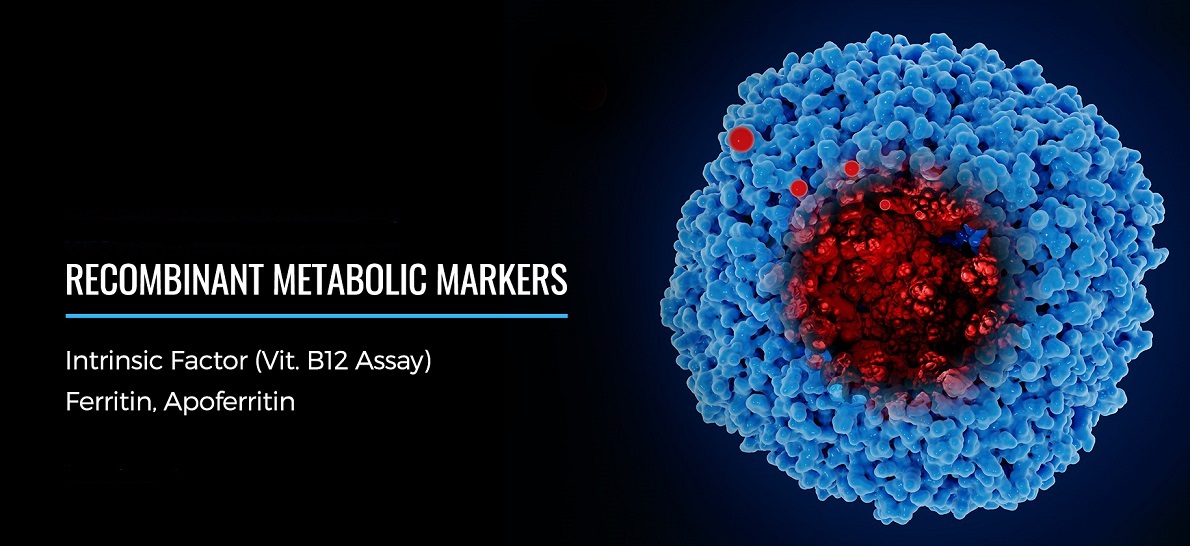 recom-metabolic-markers-1190x546.jpeg