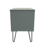 Hong Kong (Black Hairping Legs) 2 Drawer Midi Chest in Reed Green - HKC009RGRG (2).jpg