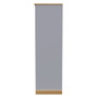 Whitney Tall 2 Drawer Wardrobe in Grey Ash & Modern Oak - WHI081GAMO (2).jpg