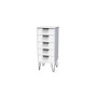 Hong Kong (Black Hairping Legs) 5 Drawer Bedside Cabinet in White Matt - HKC003WMWM (3).jpg