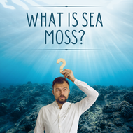 Exploring the Marvels of Sea Moss: A Nutrient-Rich Oceanic Gem