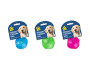 Flashing and Squeaky Play Ball - Assorted