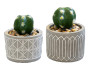 Artificial Plant in Cement Pot - Assorted