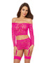 Dreamgirl Heart Fishnet Gartered Skirt Set
