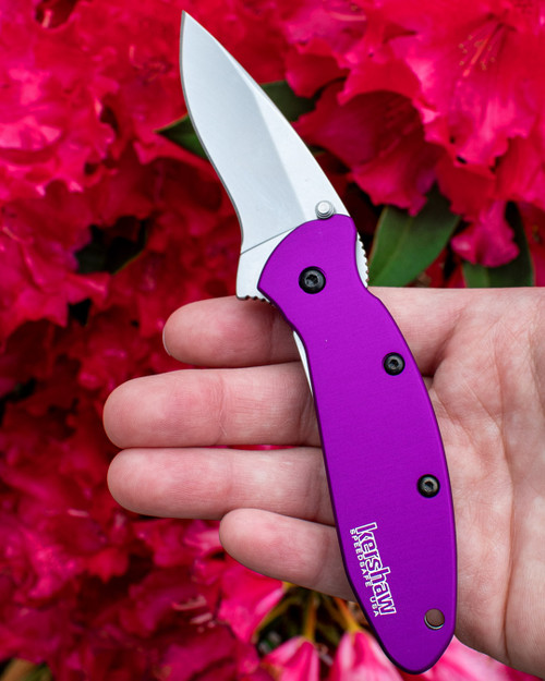 KER SCALLION PURPLE 2.4 DP