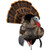 AVIAN-X HDR STRUTTER TKY DECOY