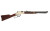 HENRY H4 GOLDEN BOY COMPT 22LR 17"